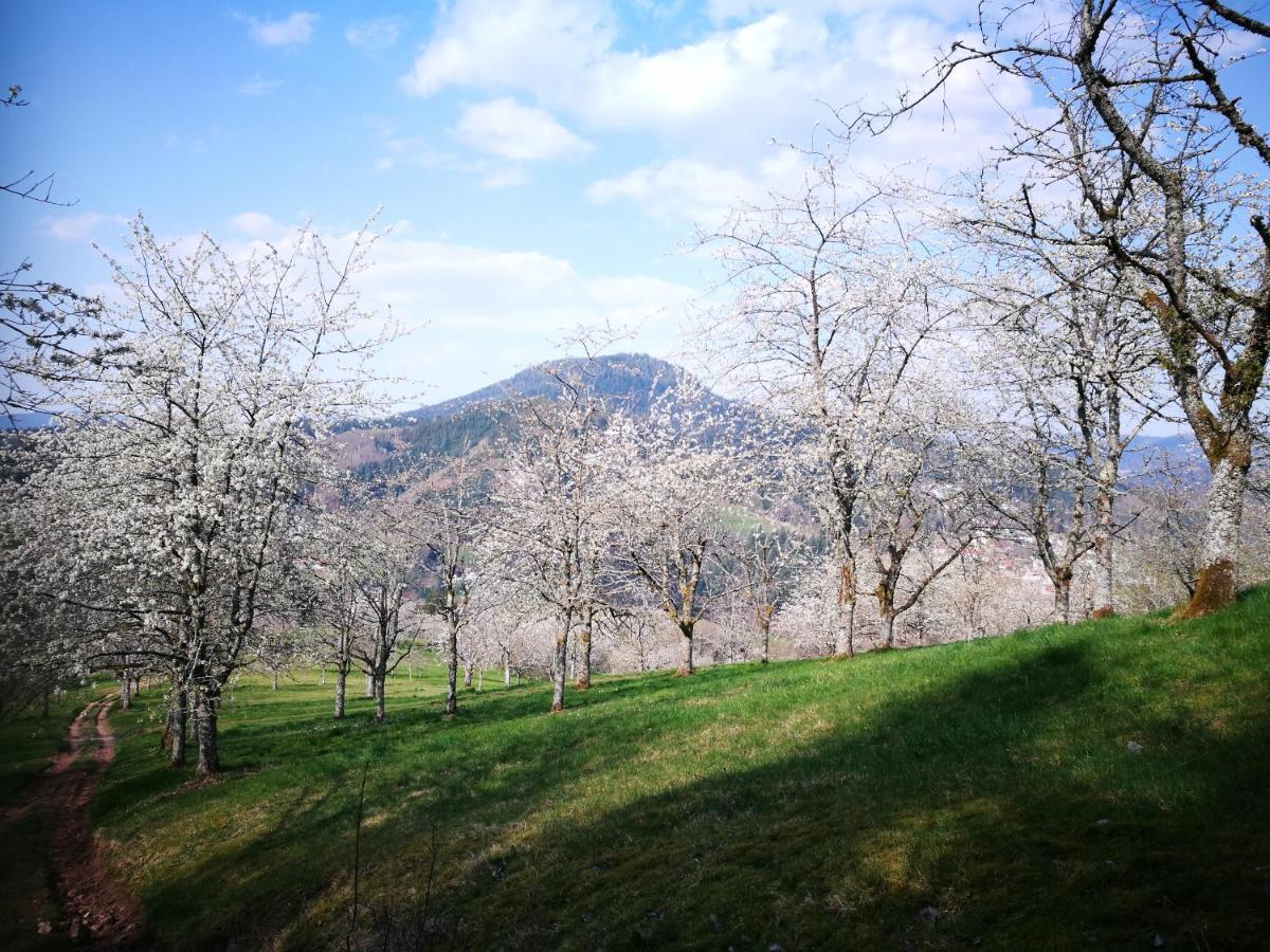 Вілла Ferienhof Brutoni Бад-Петерсталь-Ґрісбах Екстер'єр фото