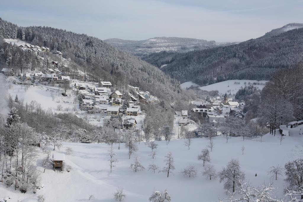 Вілла Ferienhof Brutoni Бад-Петерсталь-Ґрісбах Екстер'єр фото