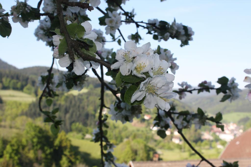 Вілла Ferienhof Brutoni Бад-Петерсталь-Ґрісбах Екстер'єр фото